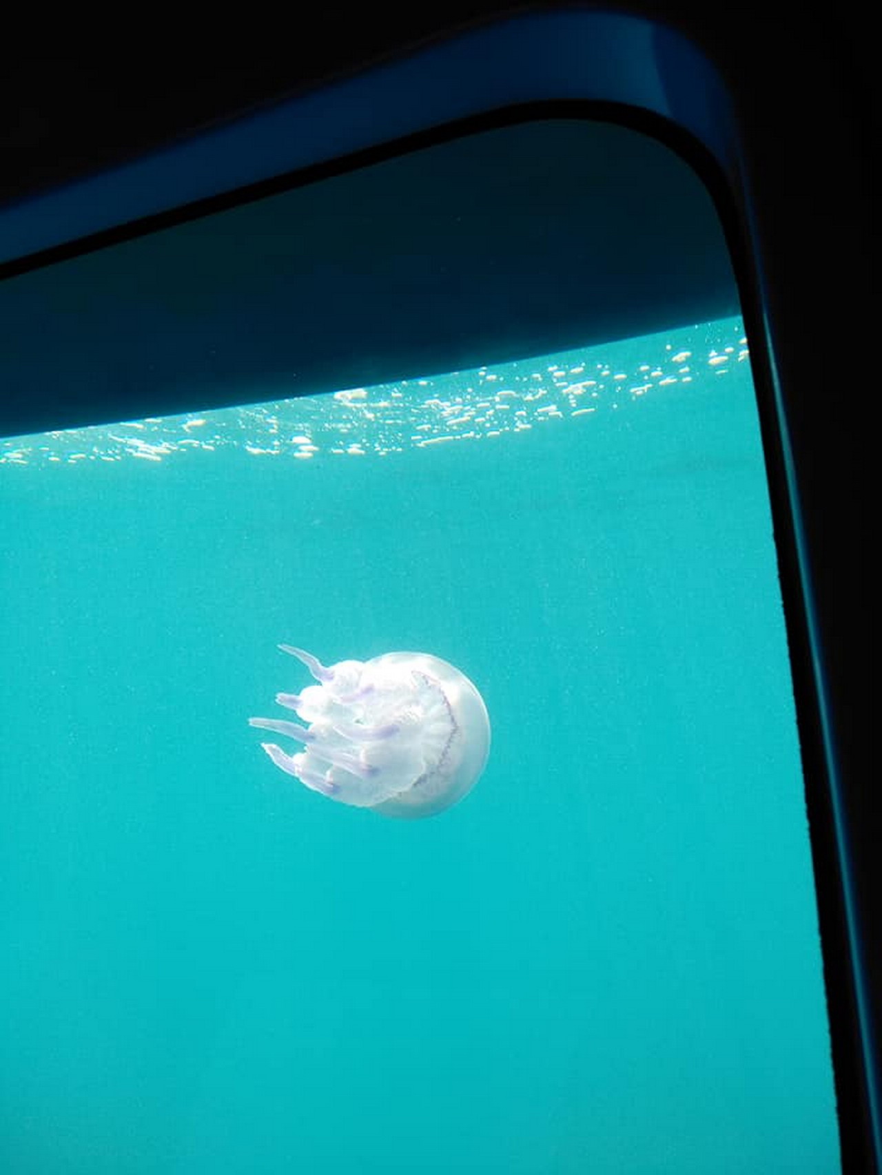  Podmornica Nemo Grčka 